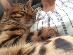 Edward sur sa maman