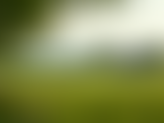 Showcasing Successful Rural Initiatives in Switzerland