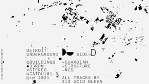 REVIEW: BUILDINGS - 313 Acid Queen x SickBoy [Detroit Underground]