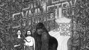 REVIEW: Simple Symmetry - SORRY! We did something wrong