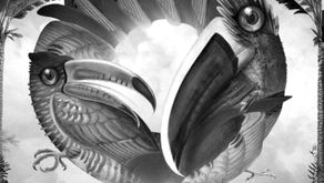 INTERVIEW: Dillon Marinez presents Dance For Me [DIRTYBIRD]