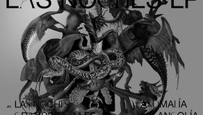 REVIEWS: Ribé presents Las Noches LP [PoleGroup]