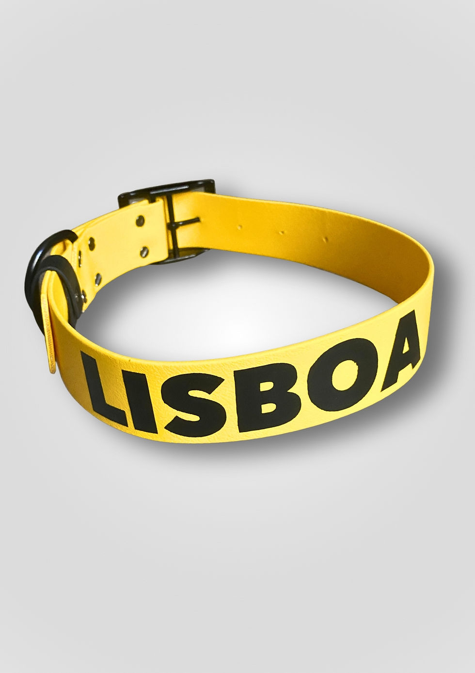 Miniature : Collier en BioThane® Aiyana