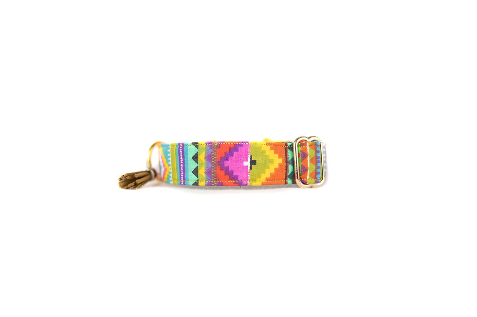 Miniature : COLLIER POUR CHIEN ET CHAT GUYAPI
