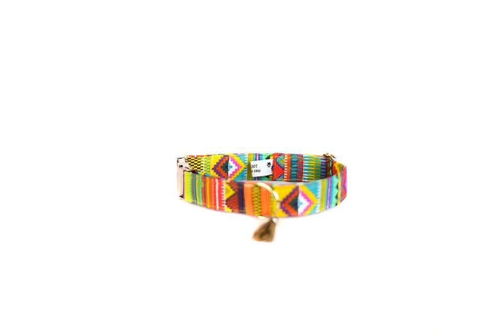 Miniature : COLLIER POUR CHIEN ET CHAT GUYAPI