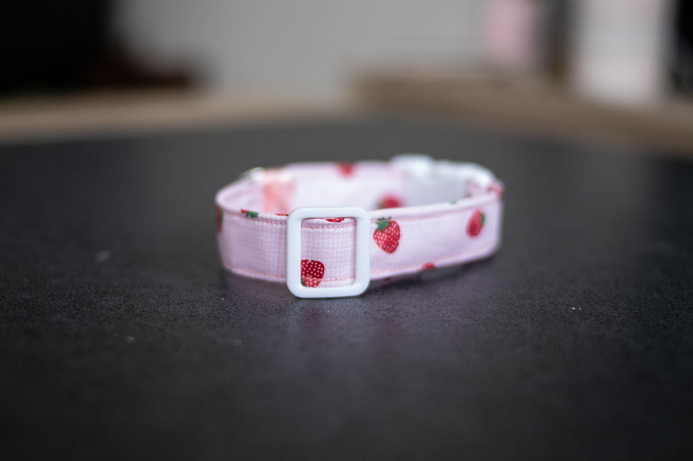 Miniature : COLLIER POUR CHIEN ET CHAT MUKKI