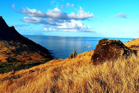 Uninhabited Island Adventure