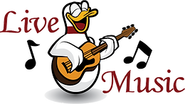 Singing duck