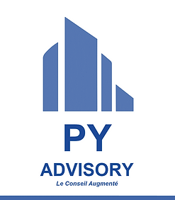 LOGO PY ADVISORY cabinet conseil en stratégie et en croissance d'entreprise pour les éditeurs de logiciels