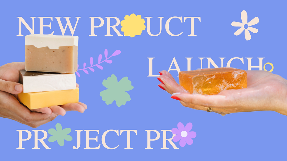New Beauty Product Launch Project Proposal Presentation