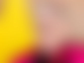 Novo Núncio Apostólico no Brasil apresenta suas credenciais ao Presidente da República