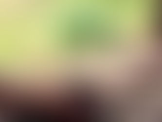 DIA DE FINADOS: PRESIDENTE DA CNBB CONVIDA A PLANTAR ÁRVORES