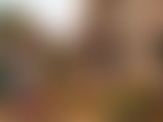 SOLENIDADE DA EPIFANIA CELEBRA MANIFESTAÇÃO DE JESUS AOS POVOS