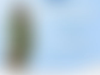 Festa do Padroeiro da Área Pastoral São Roque