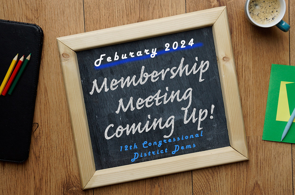 12th District Democrats Febuary 2024 Meeting