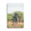 Thumbnail: Canvas