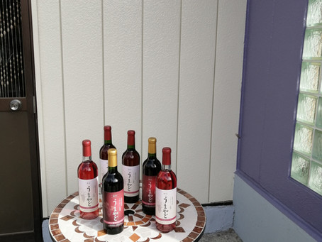 2020年新酒(ヌーボー)販売しています!