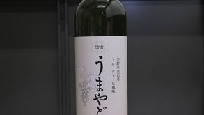 白ワイン 販売開始