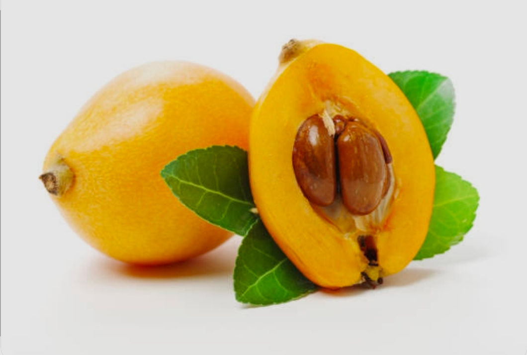 Arbol de Loquat