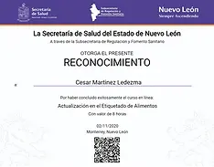 constancia-nuevo-leon-analisis-terra