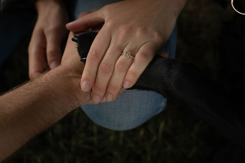 a close up shot of two hands holding a black dog paw, showing a sparkling engagement ring on one of the hands