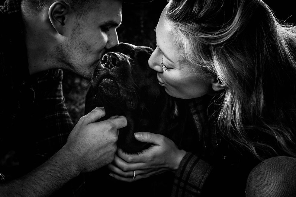 a man and woman give a Labrador dog a kiss in a stunning black and white portrait