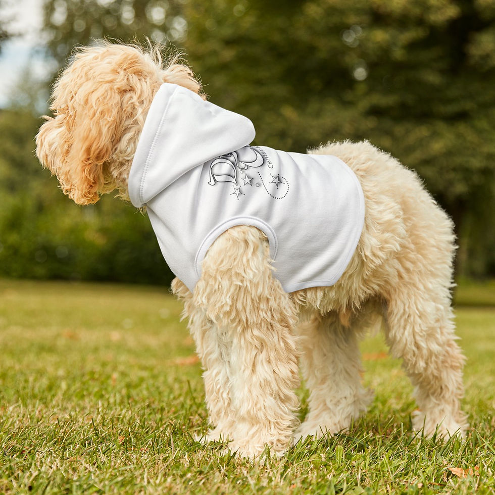 Thumbnail: DREAM TEAM Pet Hoodie (White)