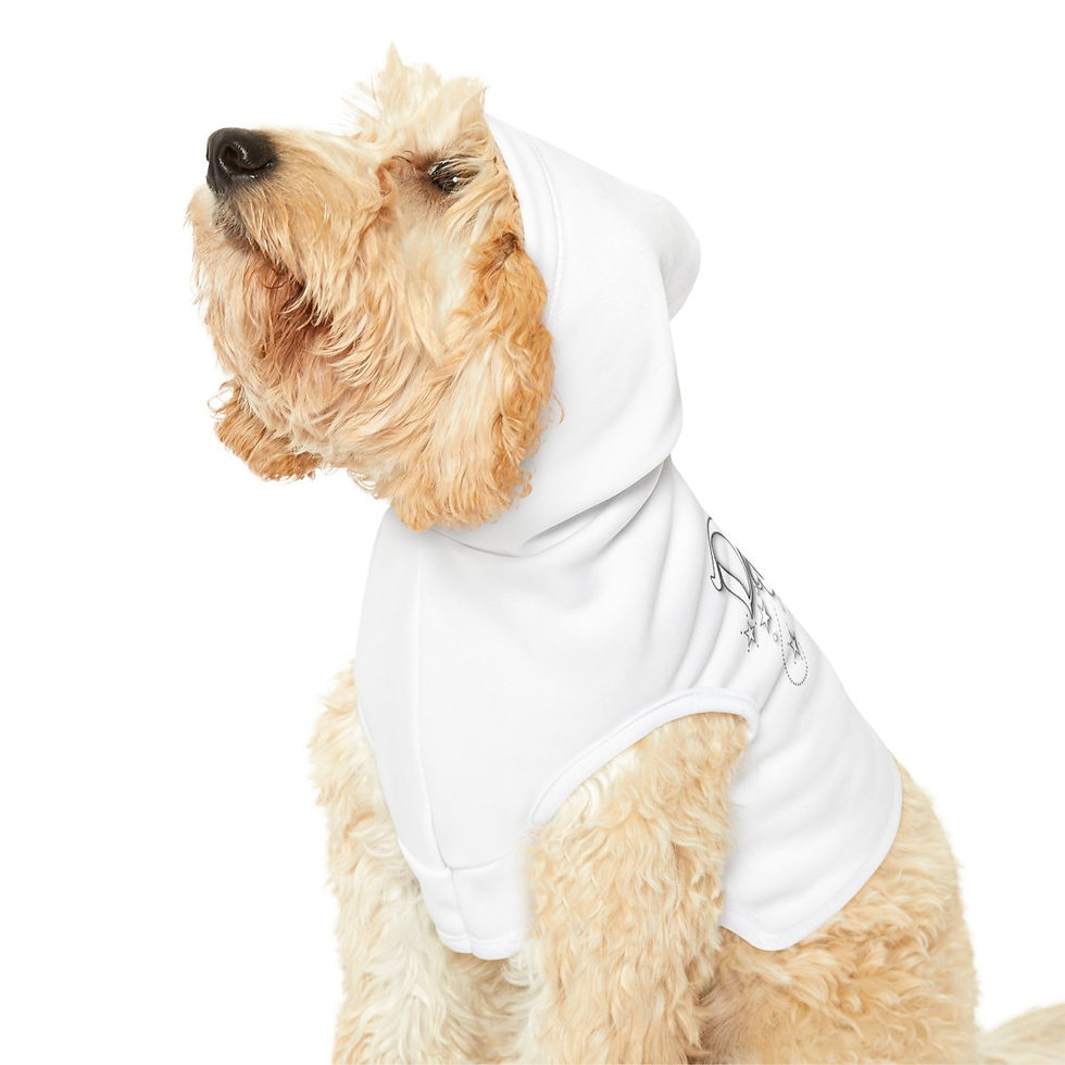 Thumbnail: DREAM TEAM Pet Hoodie (White)