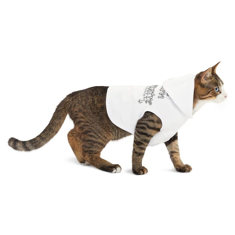 Thumbnail: DREAM TEAM Pet Hoodie (White)