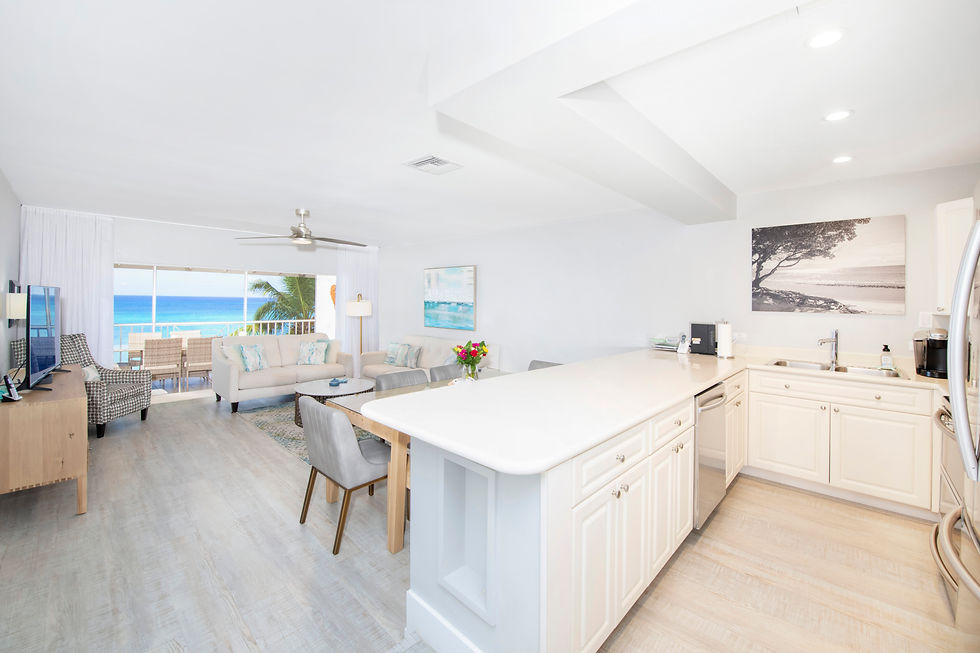 Beach front contemporary kitchen
