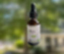 CBD Oil