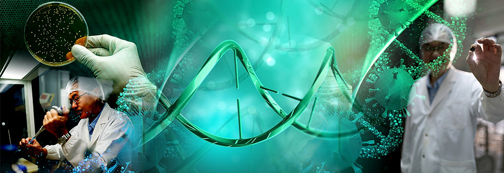 STB_BIOtech_Masthead.jpg