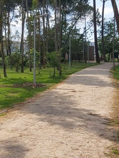 CM Oliveira do Bairro - HSSL-06R