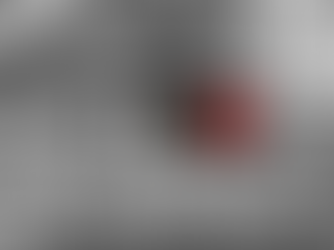 Watching the mountain top: Gasshuku IOGKF Brazil Carmo do Rio Claro 2024