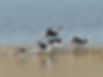 DSCN8554.JPG