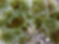 DSCN7989.jpg