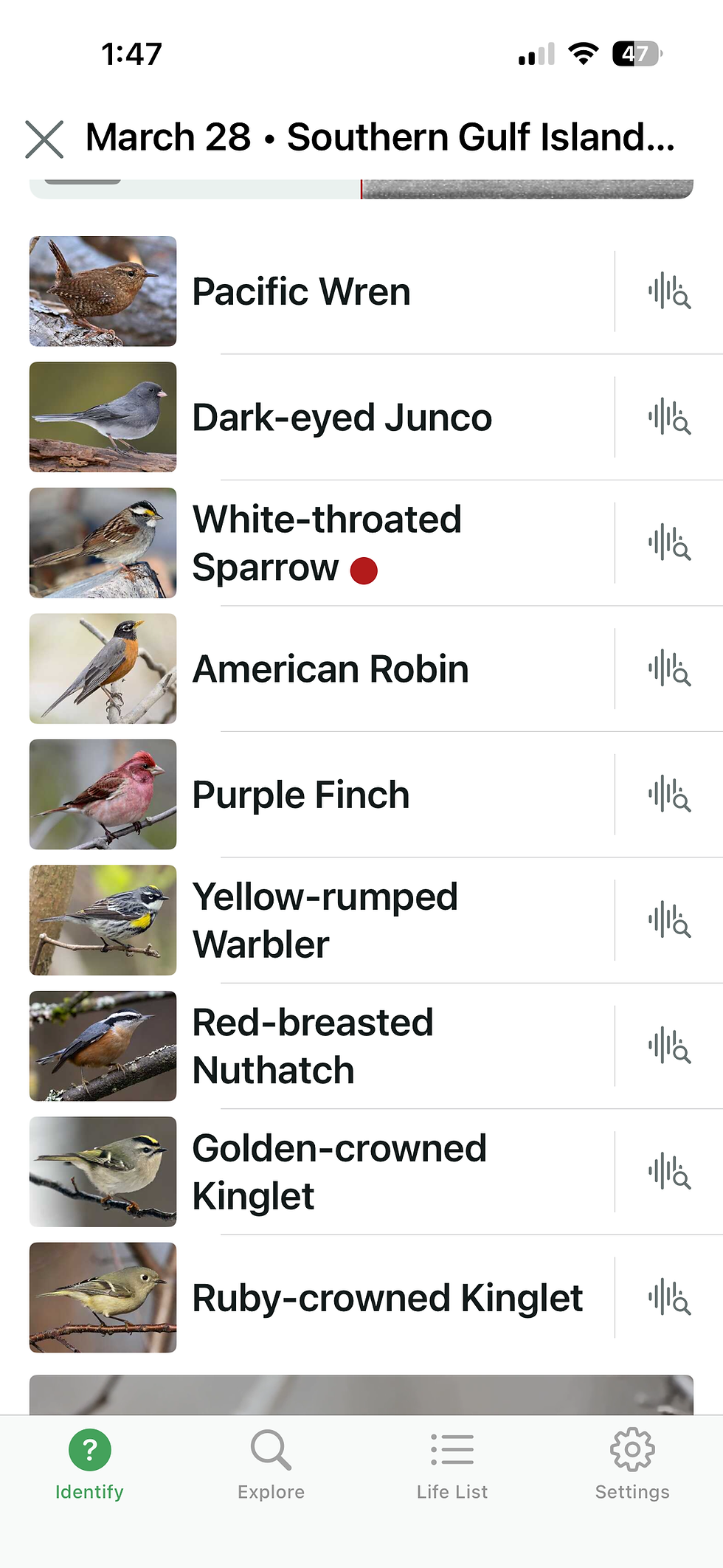 Merlin App screenshot