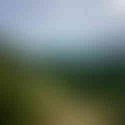 Halliday Ridge Mount Parke Mayne Island