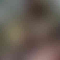 Big Leaf Maple Glen Echo Trail Mayne Island