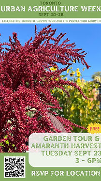 urban ag poster tablejpg_edited.jpg