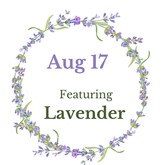 lavender retreat aug 17_25.png
