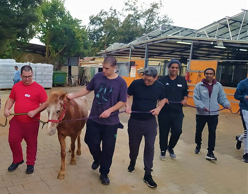 recovery group1.jpeg