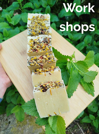 CD3A1C16-A602-480E-8343-3F966E3453AC_edi