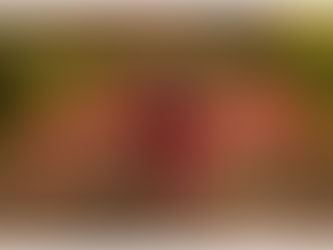 Signature Maternity Session