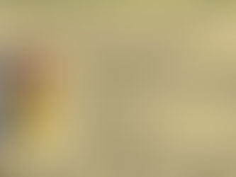 Au afectat sau nu măsurile impuse de Guvern județul Alba. Ce spun autoritățile locale și județene