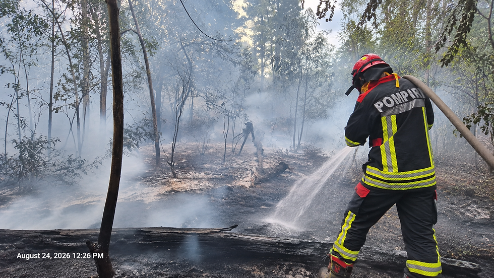 TREI INCENDII URIAȘE AU PUS PE JAR POMPIERII DIN HUNEDOARA