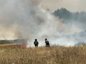 Hectare întregi afectate de un incendiu în Apuseni. Pompierii au intervenit cu efective mărite în zona Vața de Jos