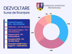 Bugetul Județului Hunedoara pentru 2025 a fost votat în unanimitate