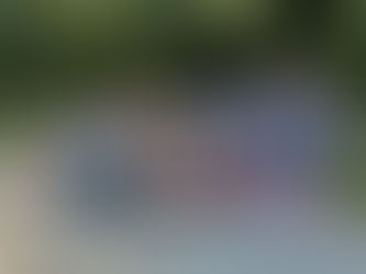 „Tabere ARC” un proiect de suflet al hunedorencei Natalia Intotero