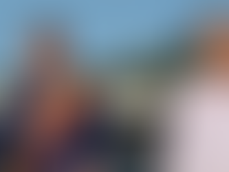 Scrisoare deschisă semnată de Dan Bobouțanu, adresată deputatei PNL Vetuța Stănescu